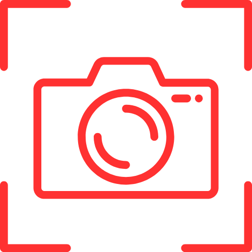 Hamster Webcam Live